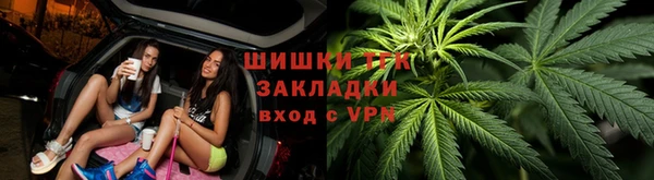 PSILOCYBIN Иннополис