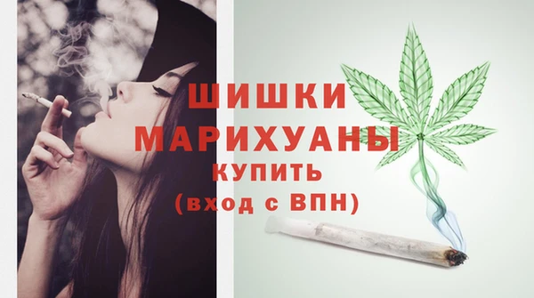 PSILOCYBIN Иннополис