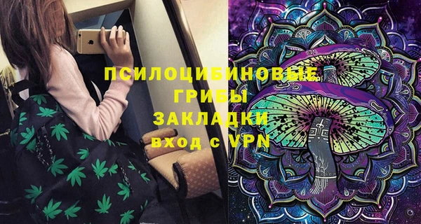 PSILOCYBIN Иннополис