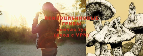 PSILOCYBIN Иннополис