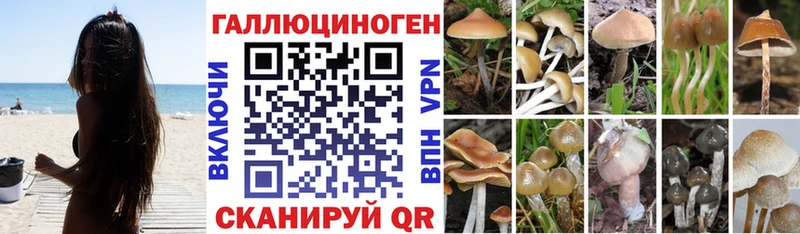 Псилоцибиновые грибы мицелий  Купить закладки  Коркино 